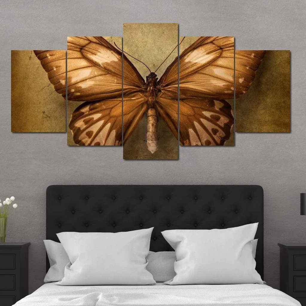 Brown Butterfly