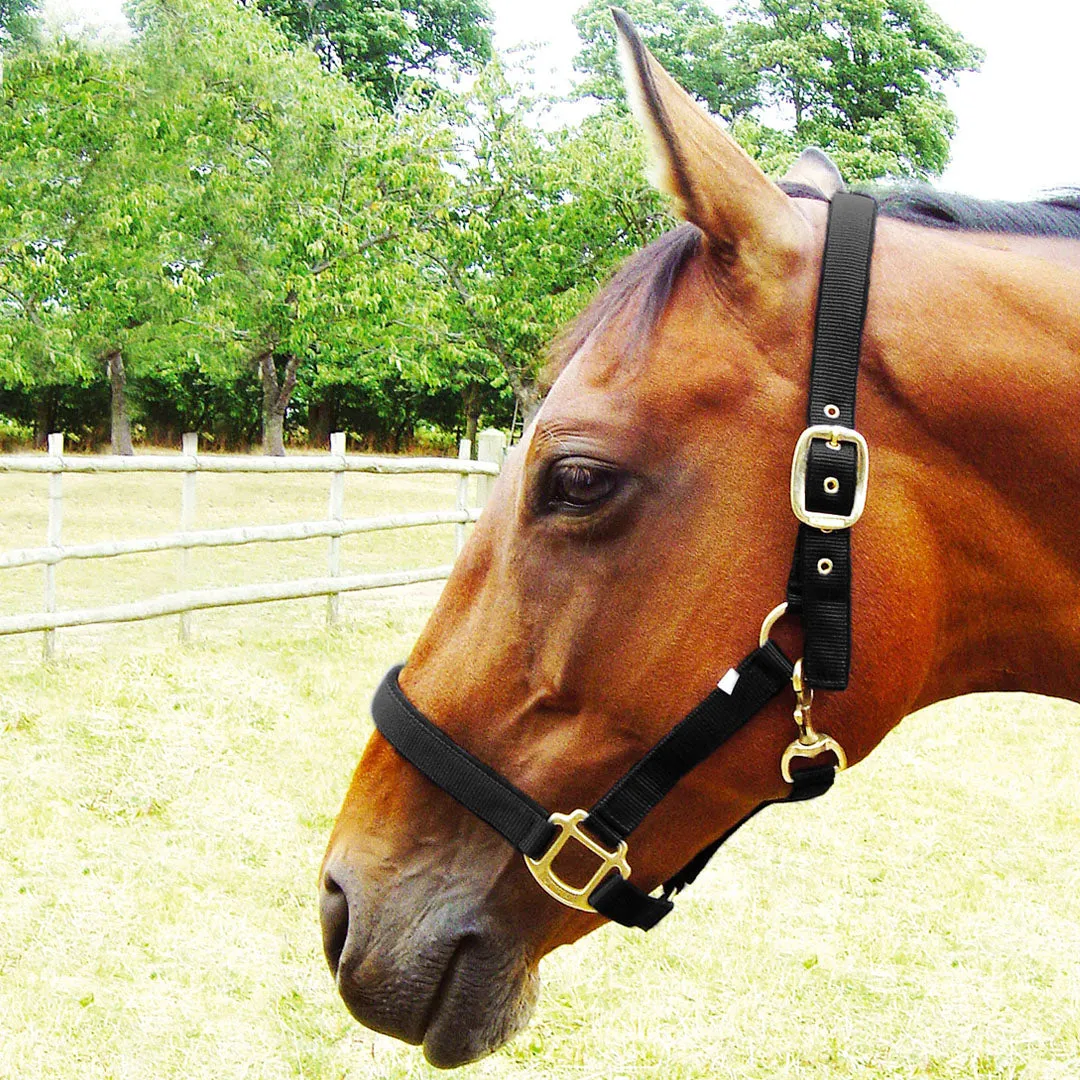 JHL Padded Headcollar